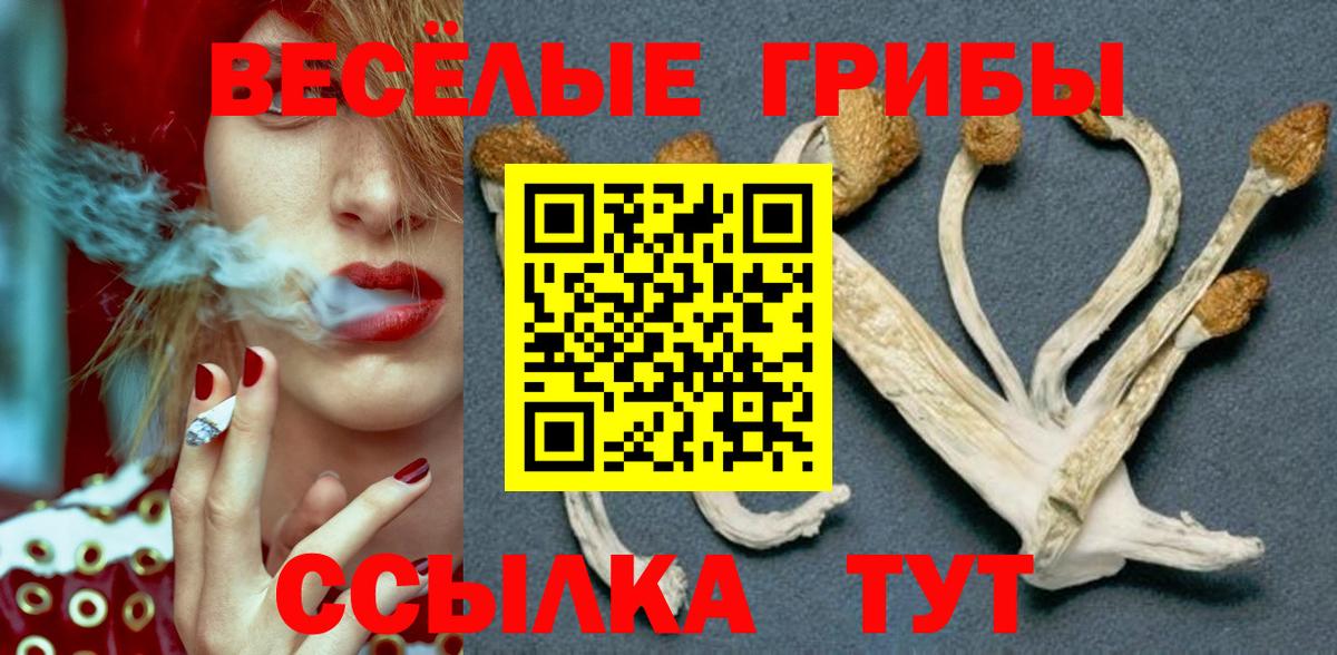 Галлюциногенные грибы Cubensis  наркота  Владикавказ  Галлюциногенные грибы MAGIC MUSHROOMS  Вход с VPN 